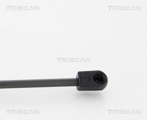 Muelle neumático, tapa delantera BMW 1 hatchback (F21) (2011 - 2019) precio, desde 9,87 EUR
