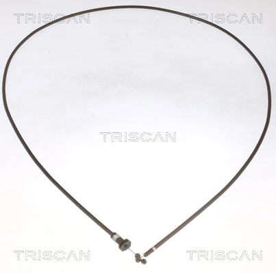 814029627 Triscan