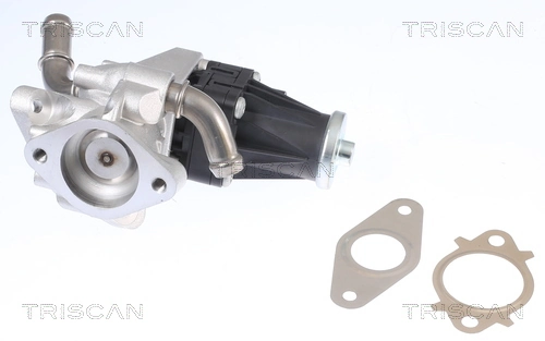Válvula de regulación de gases Mazda 1D0020300B precio, desde 95,17 EUR