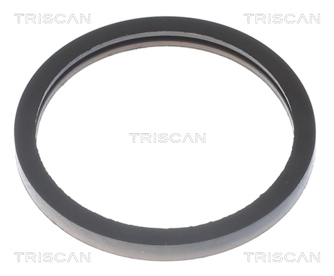 Termostato refrigerante Renault Clio I