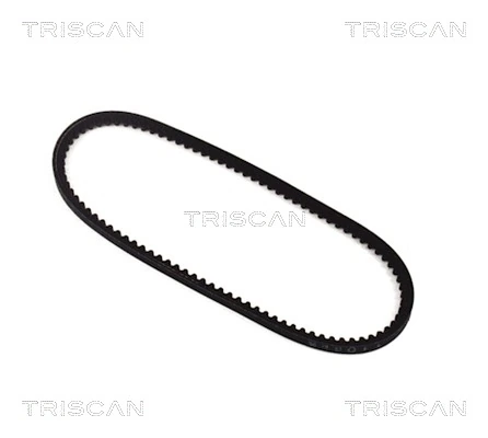 8640111030 Triscan