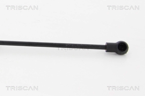 Comprar Amortiguador maletero Opel Insignia A G09