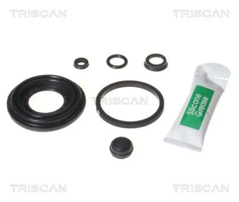 8170203631 Triscan