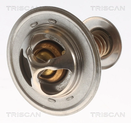 Termostato Triscan 86206182 precio, desde 13,48 EUR