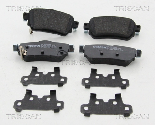 811014062 Triscan