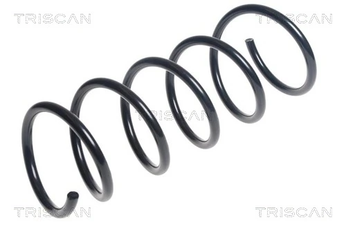 875025110 Triscan