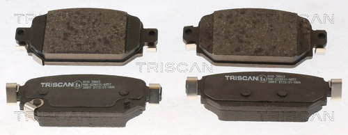 811050063 Triscan