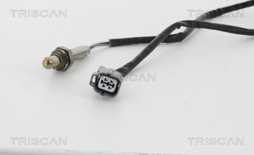 884540022 Triscan