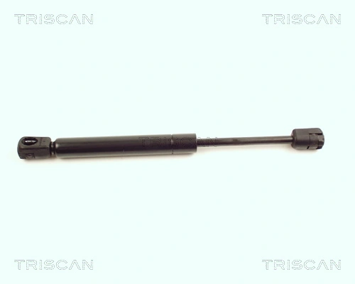 871016104 Triscan