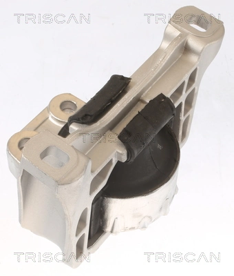 850510100 Triscan