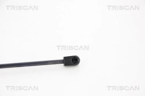 Amortiguador de porton para Dacia Duster  HM