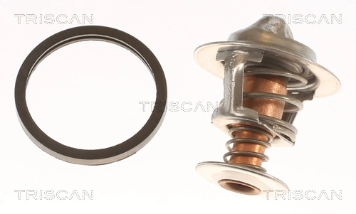 212006F900 Nissan/Infiniti Termostato de agua