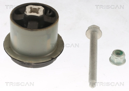 8500298080 Triscan