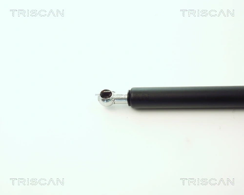 871011216 Triscan Amortiguador de porton
