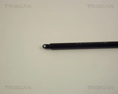Muelle de capó  para Audi 100 C2 43