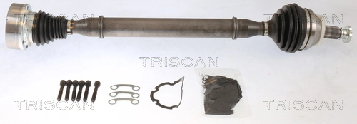 8540295026 Triscan