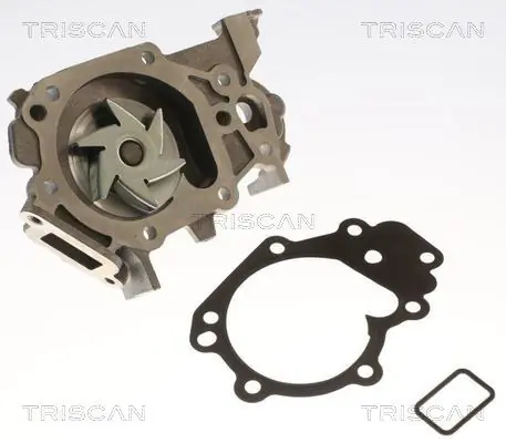 Motor de agua Renault Clio II