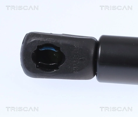 Muelle neumático, tapa delantera Tesla Model S sedán (5YJS) (2012 - 2016) precio, desde 25,80 EUR