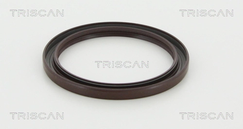 855010063 Triscan
