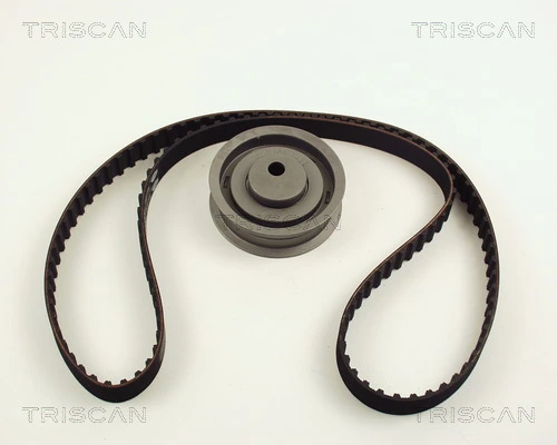 864729009 Triscan