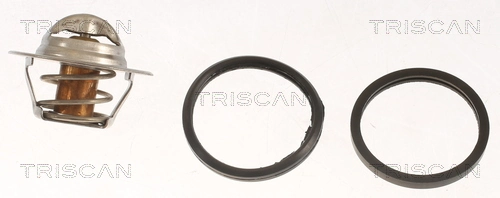 Termostato refrigerante Renault Laguna II desde 10,24 €