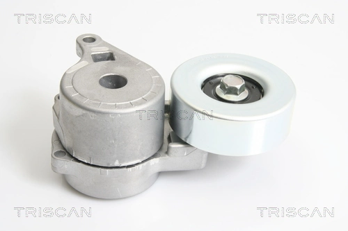 8641423001 Triscan