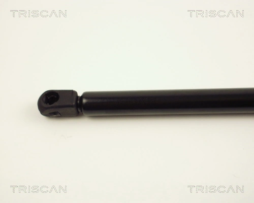 871024201 Triscan Amortiguador de porton