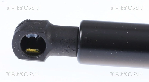 9811547680 Peugeot/Citroen Amortiguador de porton