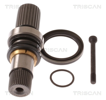 8540295005 Triscan