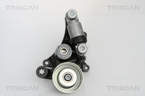 8641233010 Triscan