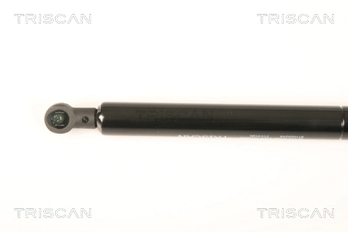 871025249 Triscan Amortiguador de porton