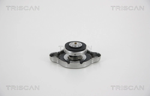 Tapa de radiador Nissan Navara D40