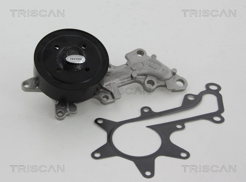 860013018 Triscan