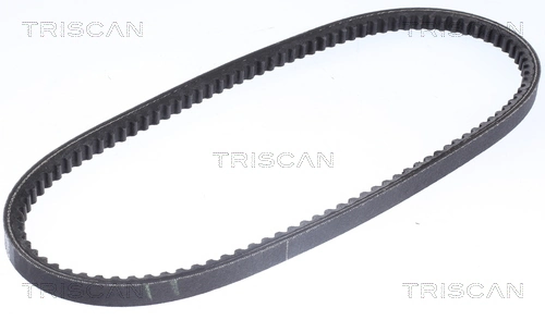 8640130800 Triscan