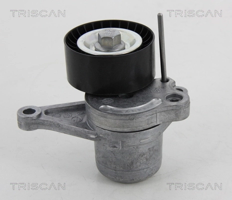 Tensor de la correa trapecial poli v Renault Scenic II