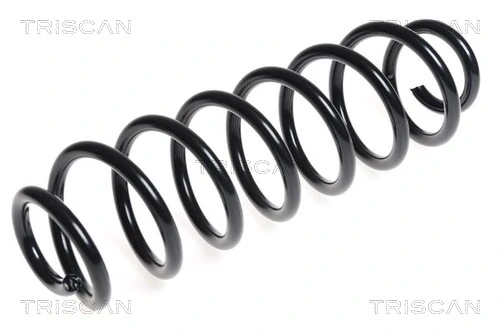 875029286 Triscan