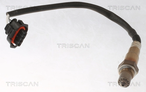 884524020 Triscan