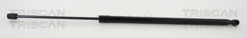 8710112004 Triscan