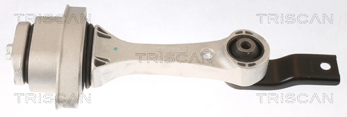 850529100 Triscan