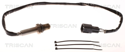 884513005 Triscan
