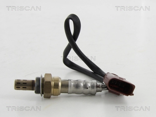 884529015 Triscan