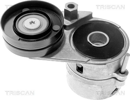 Tensor de la correa trapecial poli v para Audi A4  (8H7)