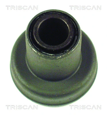 850029800 Triscan