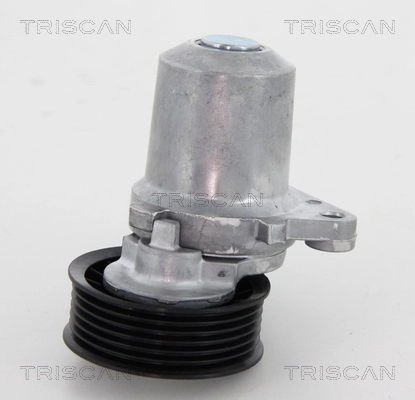 8641503003 Triscan