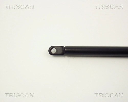 Muelle neumático, tapa delantera BMW 5 sedán (E28) (1980 - 1990) precio, desde 18,15 EUR