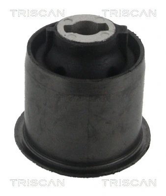  Silentblock trasero Citroen C4 1