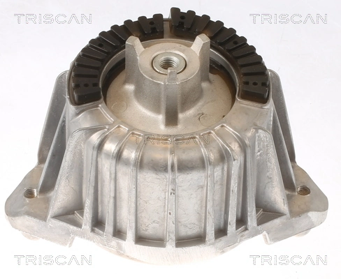 850523101 Triscan