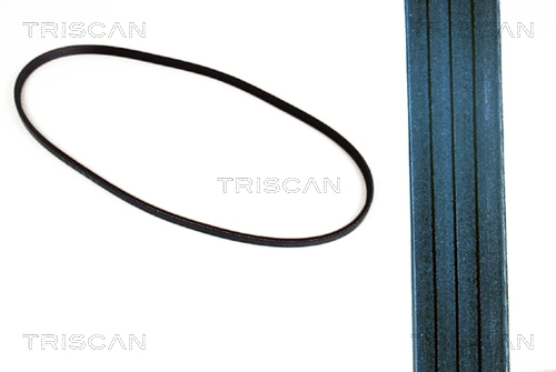 8640400725 Triscan