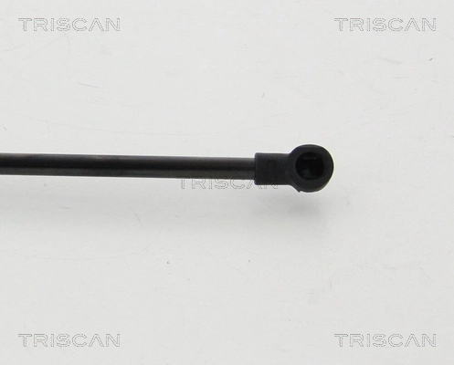 871024254 Triscan