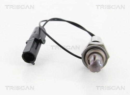 884524002 Triscan